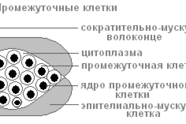 Кракен не грузит