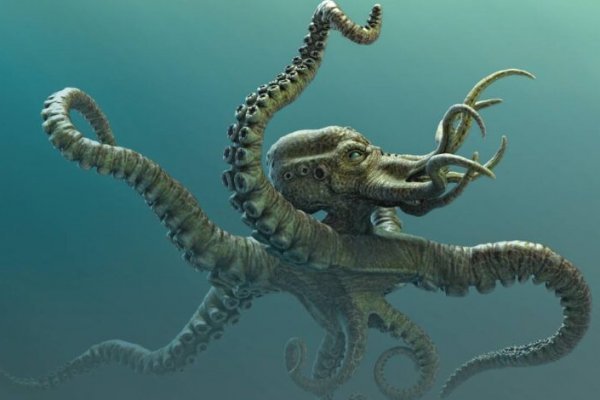 Kraken зарегистрироваться