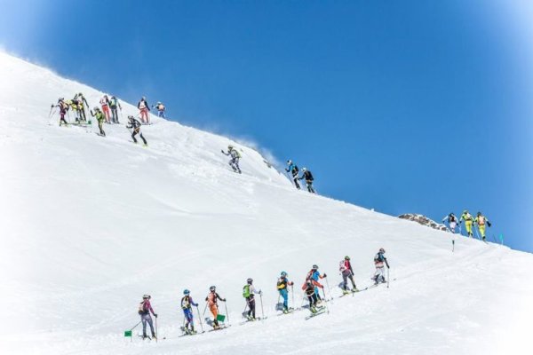 Кракен даркнет отзывы