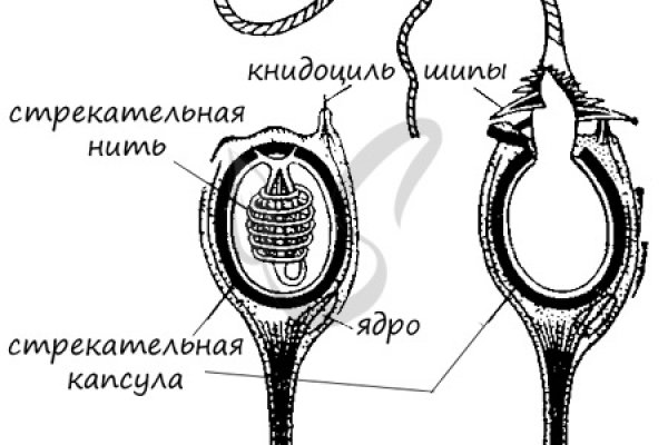 Кракен не работает сайт