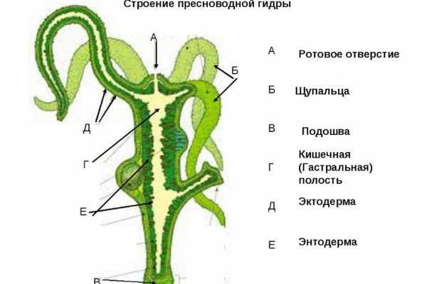 Как зарегистрироваться на сайте кракен